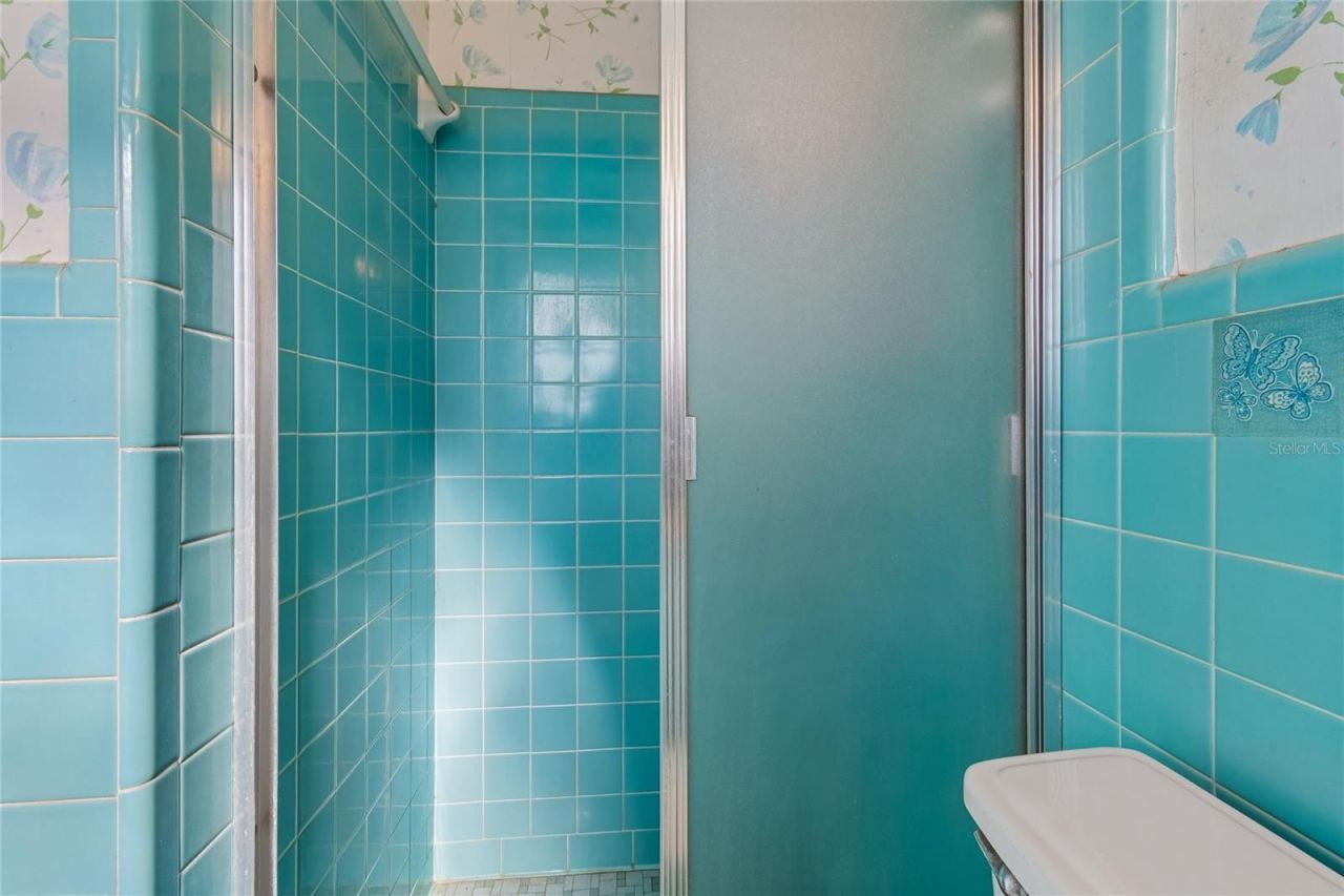 4703 S Renellie Drive, Tampa, FL 33611 Photo