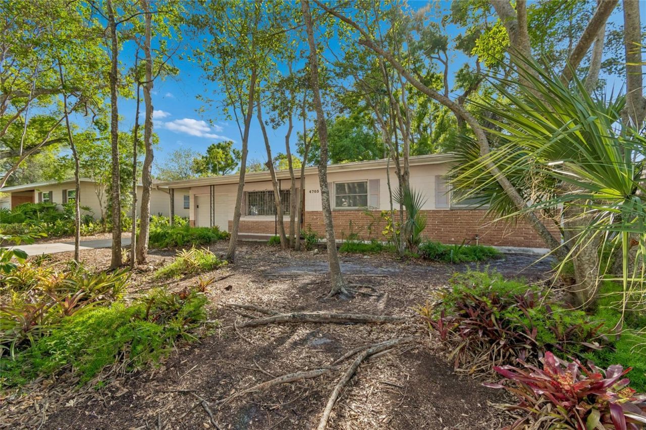 4703 S Renellie Drive, Tampa, FL 33611 Photo