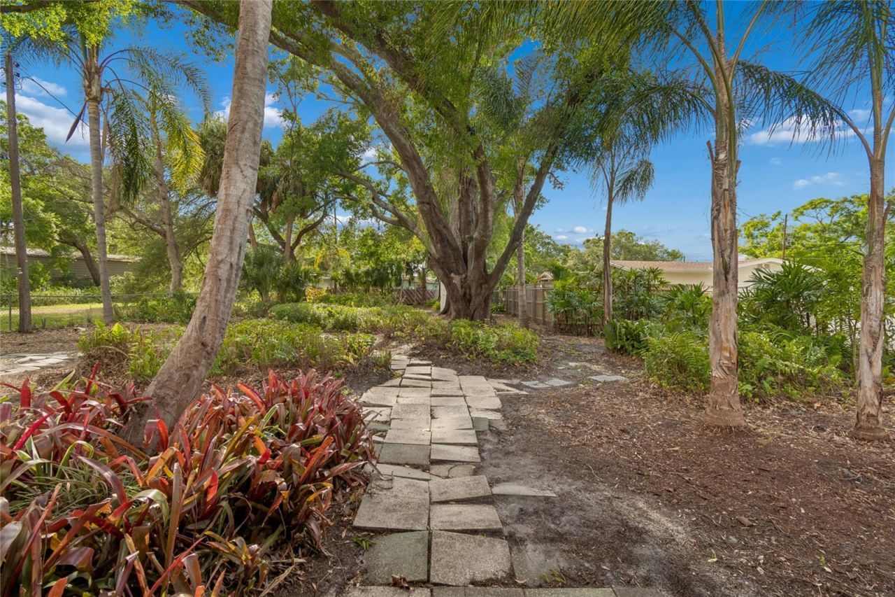 4703 S Renellie Drive, Tampa, FL 33611 Photo