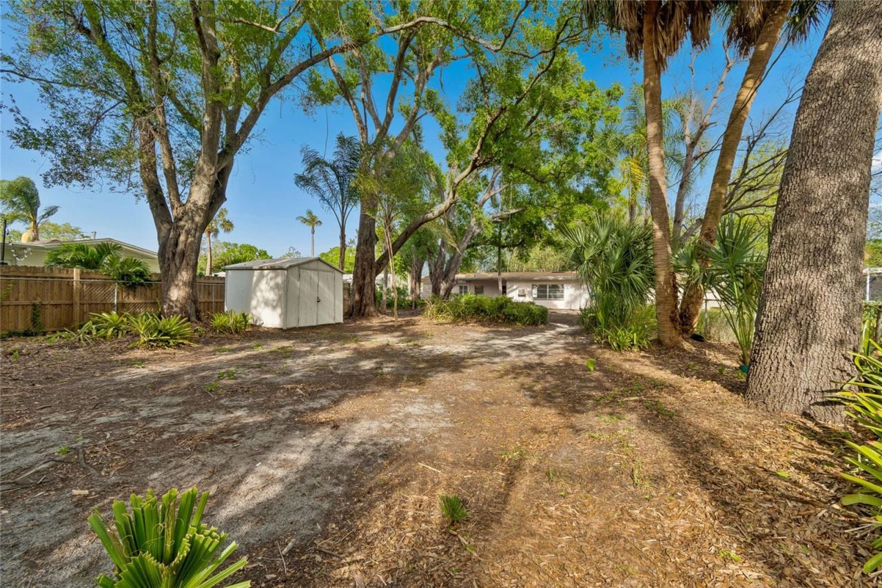 4703 S Renellie Drive, Tampa, FL 33611 Photo