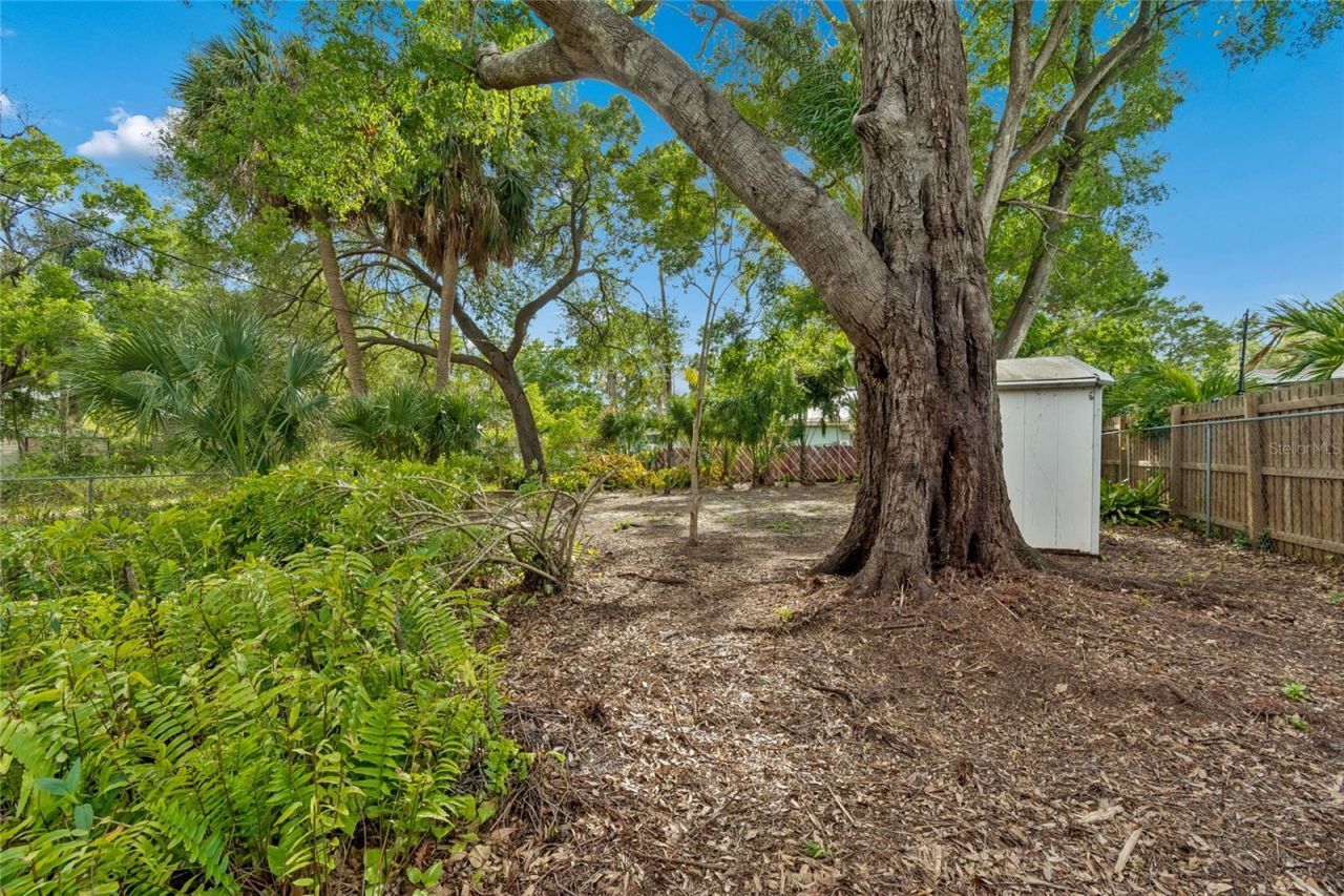 4703 S Renellie Drive, Tampa, FL 33611 Photo