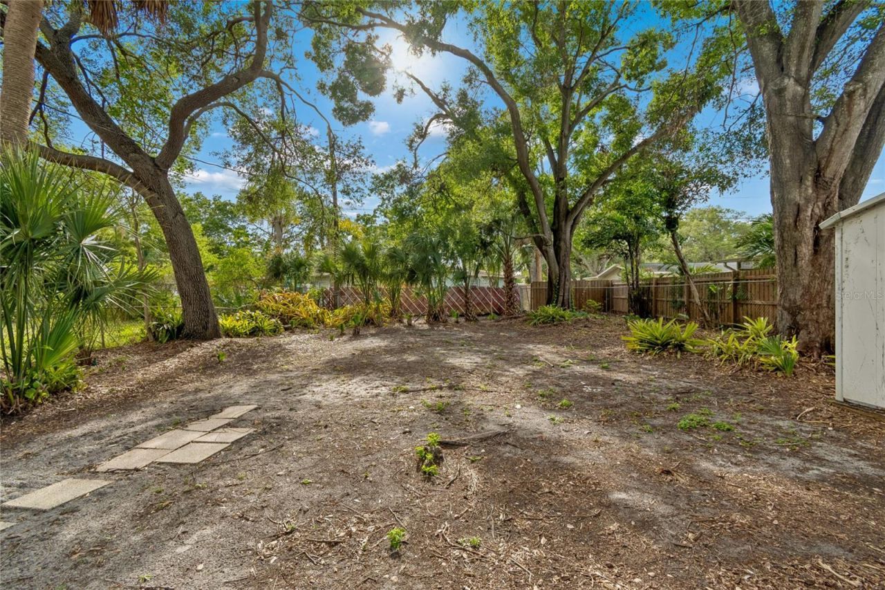 4703 S Renellie Drive, Tampa, FL 33611 Photo