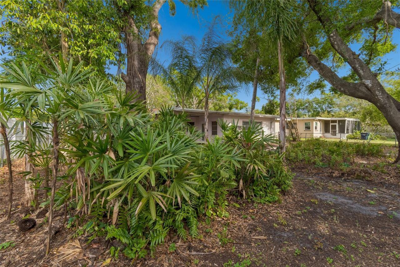 4703 S Renellie Drive, Tampa, FL 33611 Photo