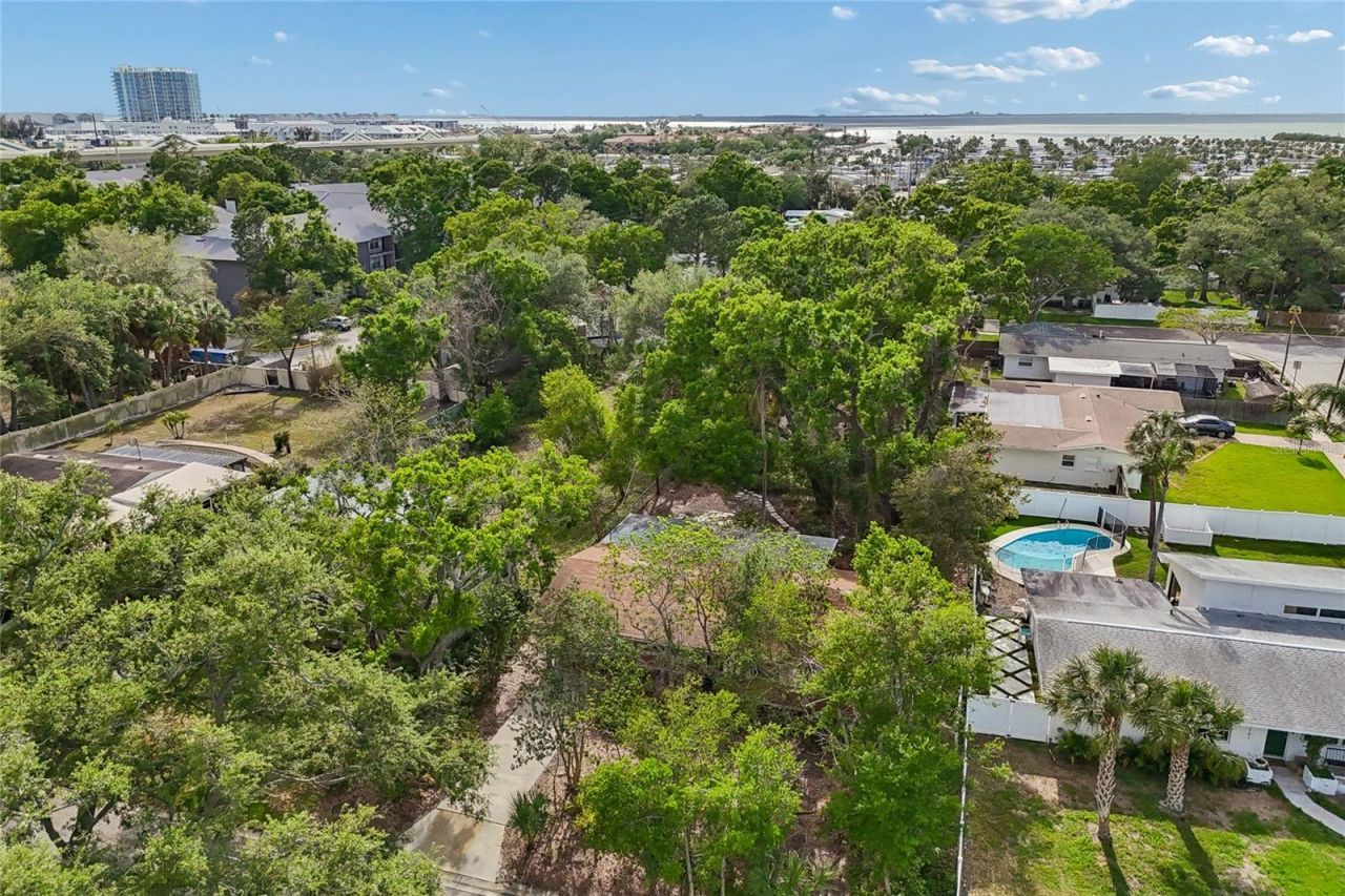 4703 S Renellie Drive, Tampa, FL 33611 Photo