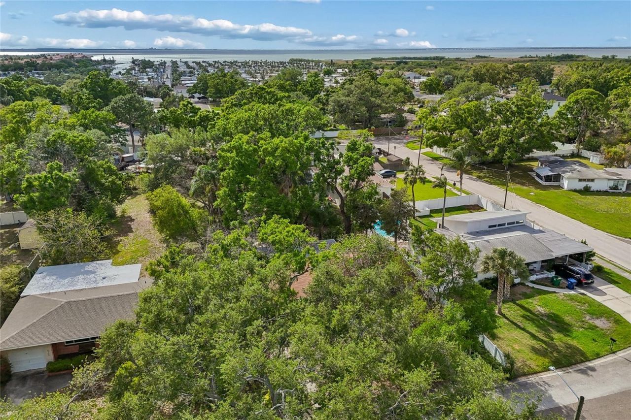 4703 S Renellie Drive, Tampa, FL 33611 Photo