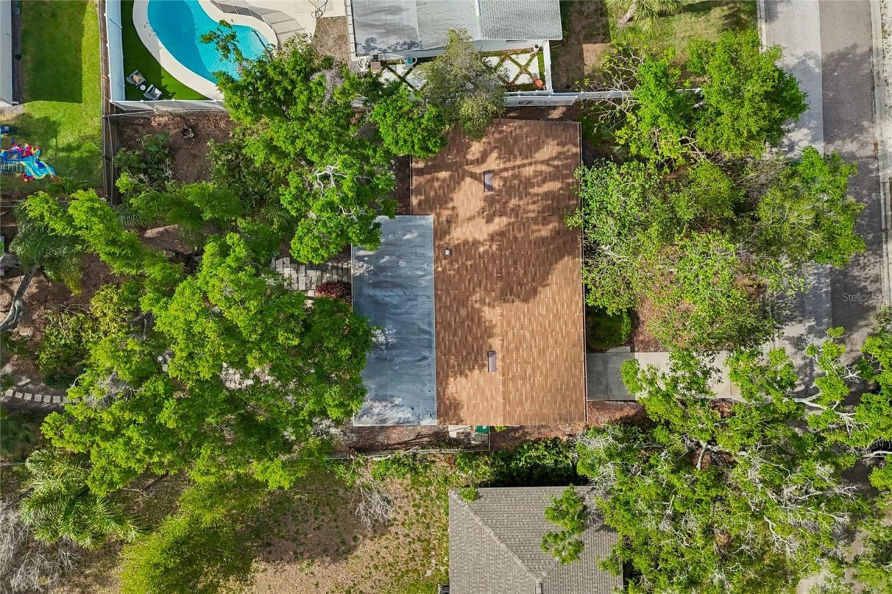 4703 S Renellie Drive, Tampa, FL 33611 Photo