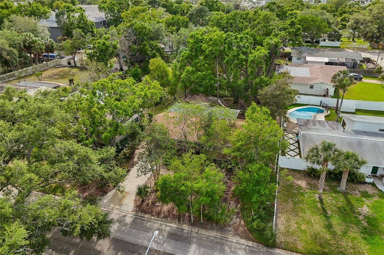 4703 S Renellie Drive, Tampa, FL 33611 Photo