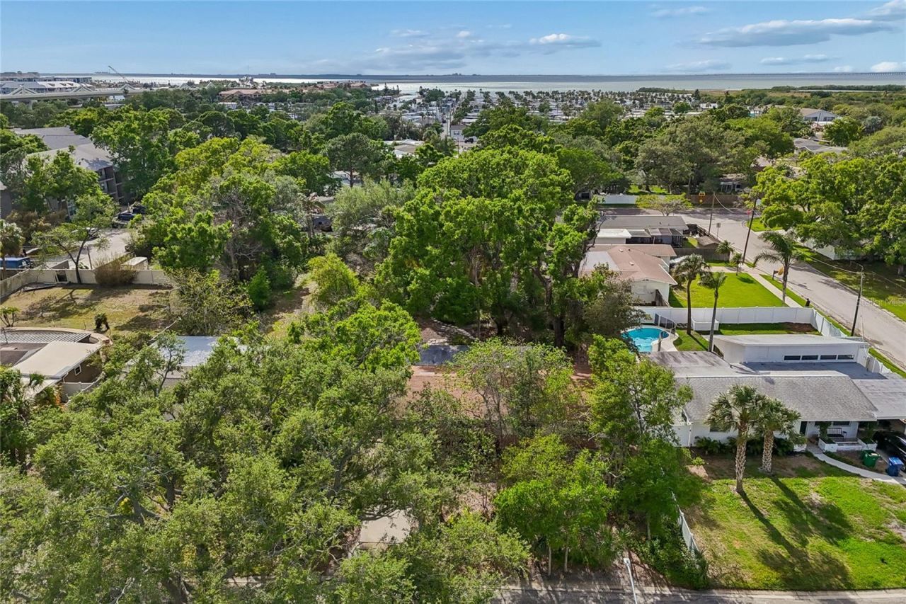 4703 S Renellie Drive, Tampa, FL 33611 Photo