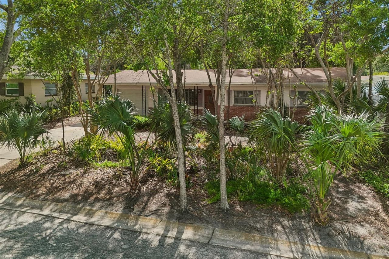 4703 S Renellie Drive, Tampa, FL 33611 Photo