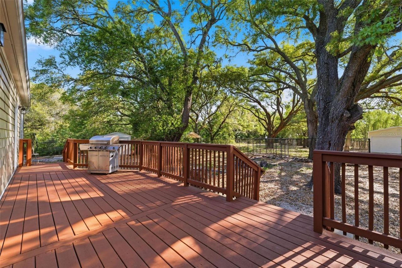 252 Spring Time Street, Spring Hill, FL 34608 Photo