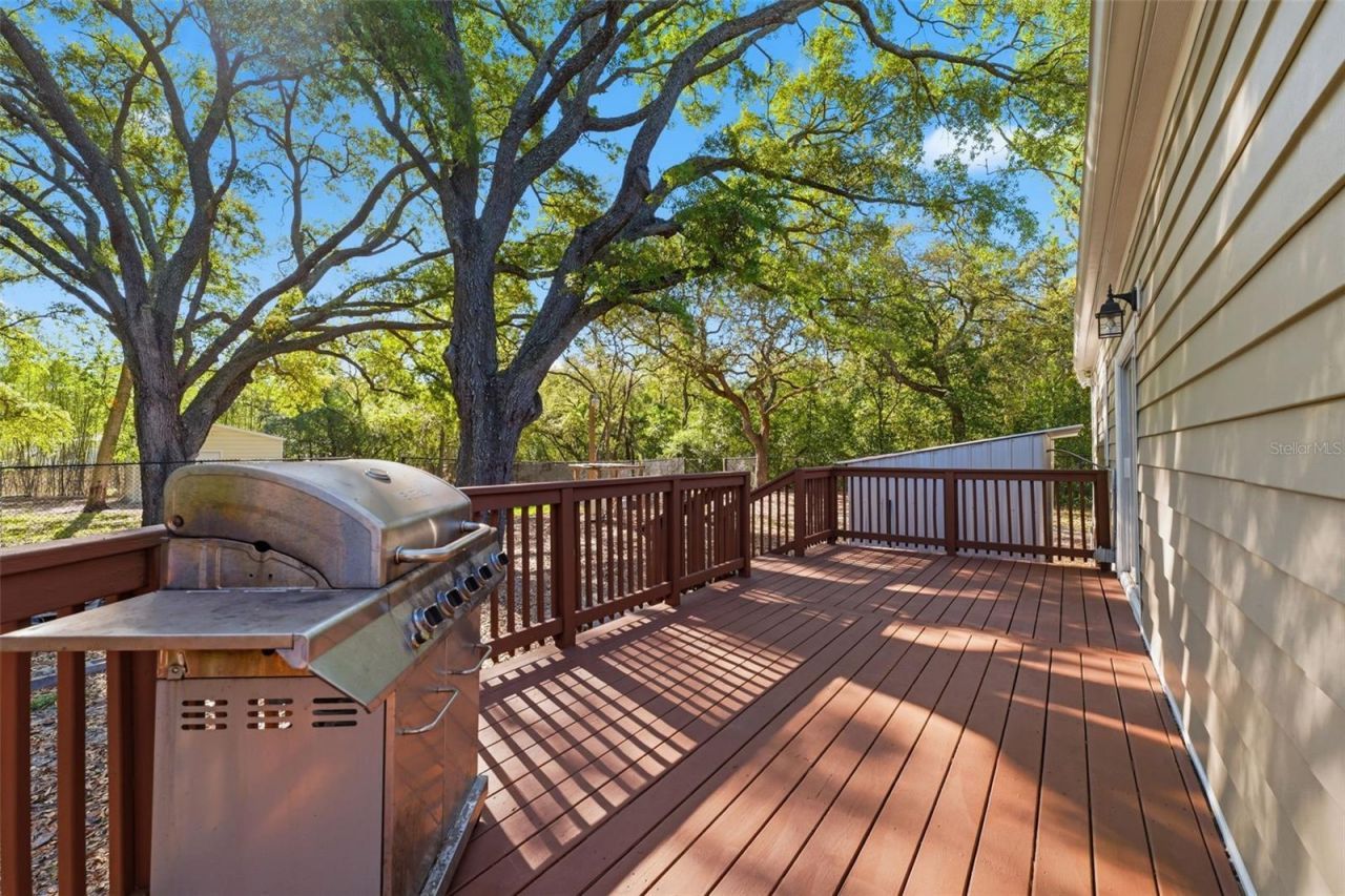 252 Spring Time Street, Spring Hill, FL 34608 Photo