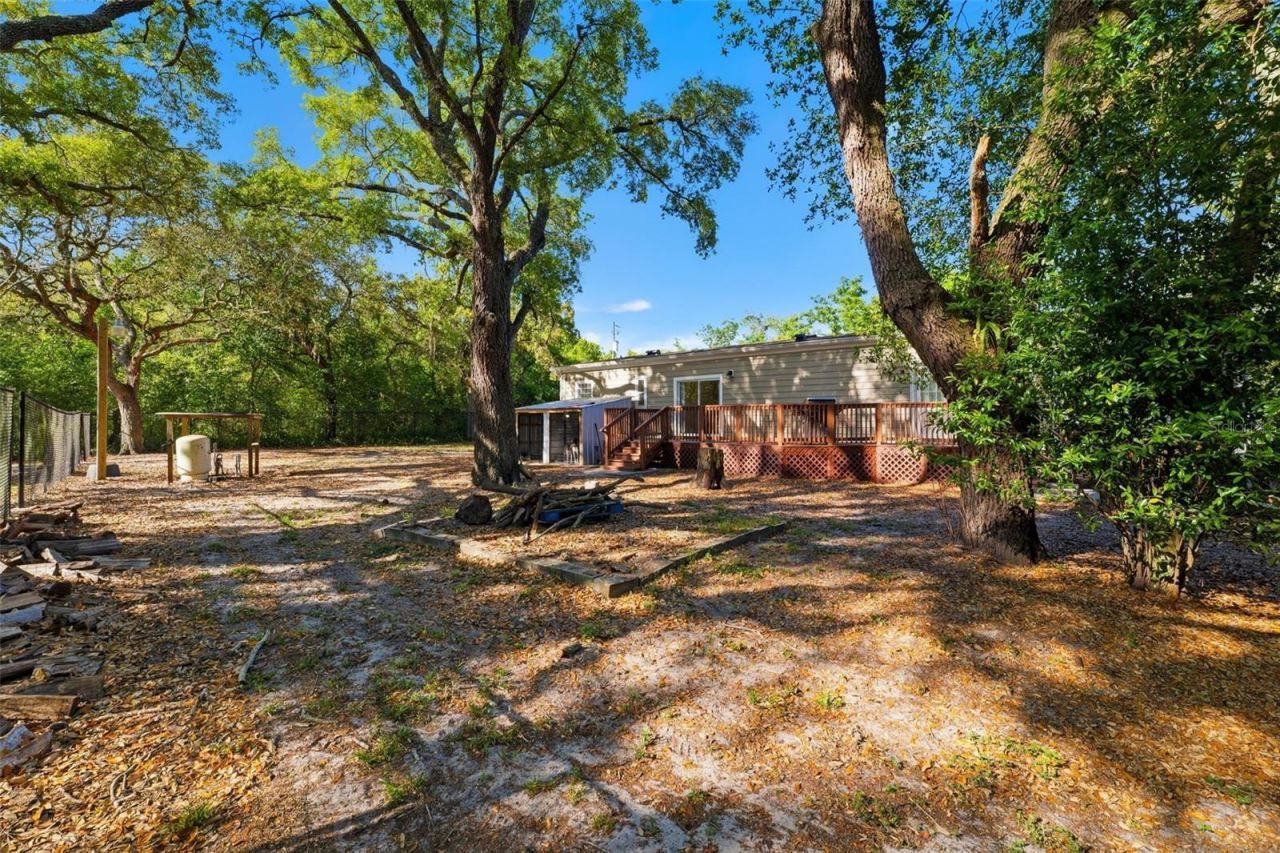 252 Spring Time Street, Spring Hill, FL 34608 Photo