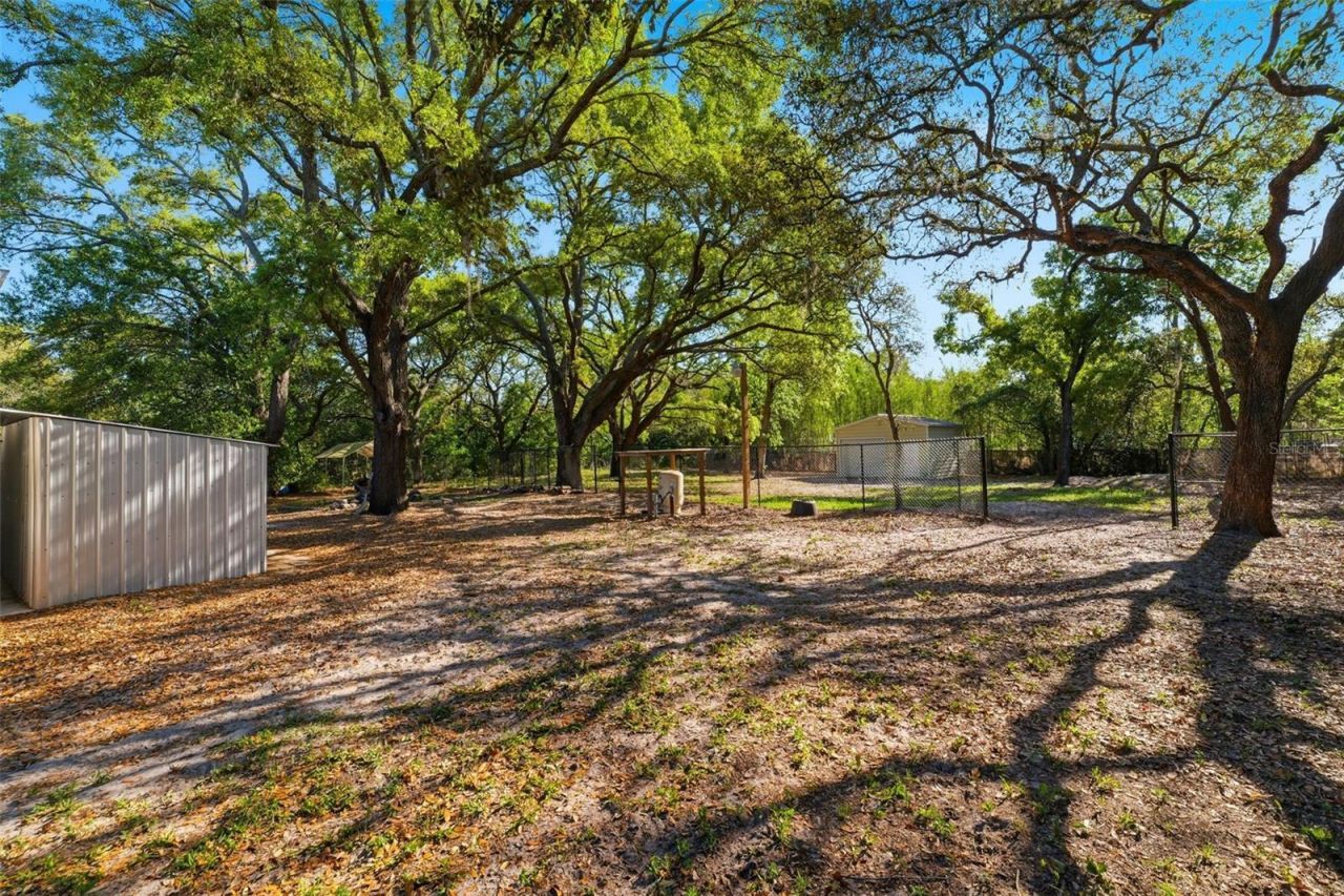 252 Spring Time Street, Spring Hill, FL 34608 Photo