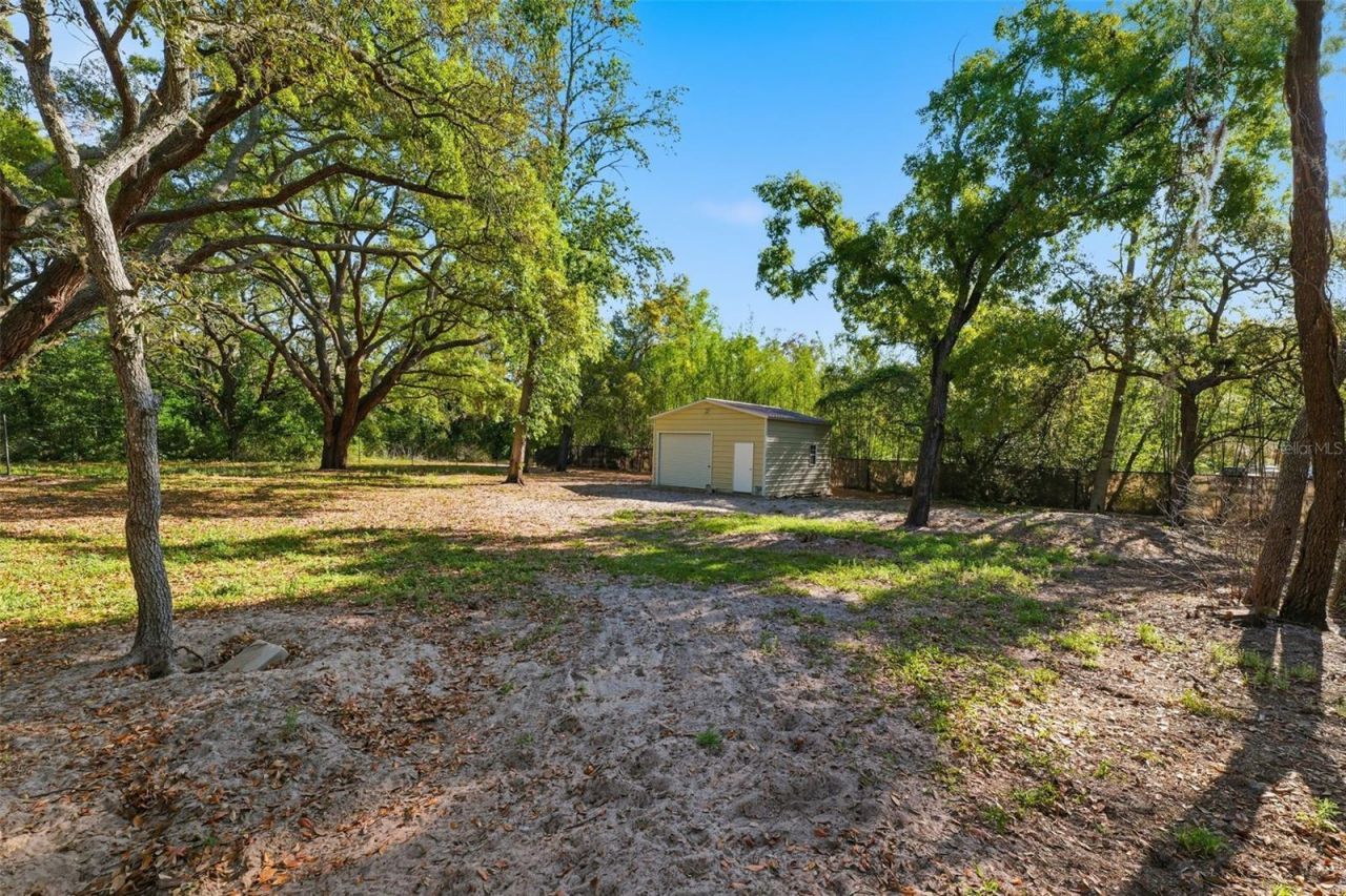 252 Spring Time Street, Spring Hill, FL 34608 Photo