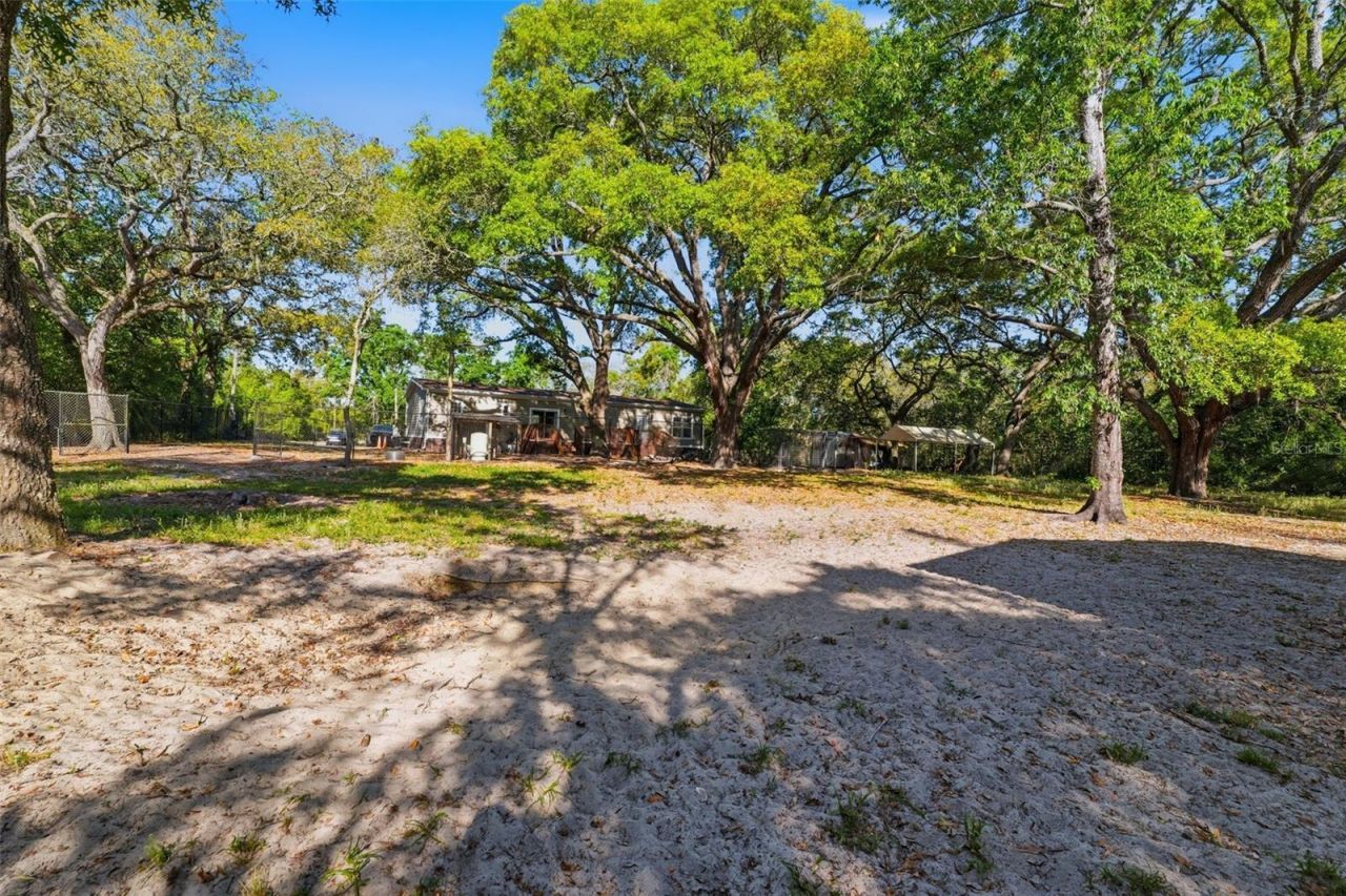 252 Spring Time Street, Spring Hill, FL 34608 Photo