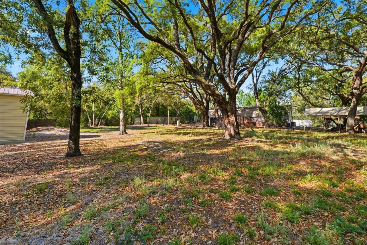 252 Spring Time Street, Spring Hill, FL 34608 Photo