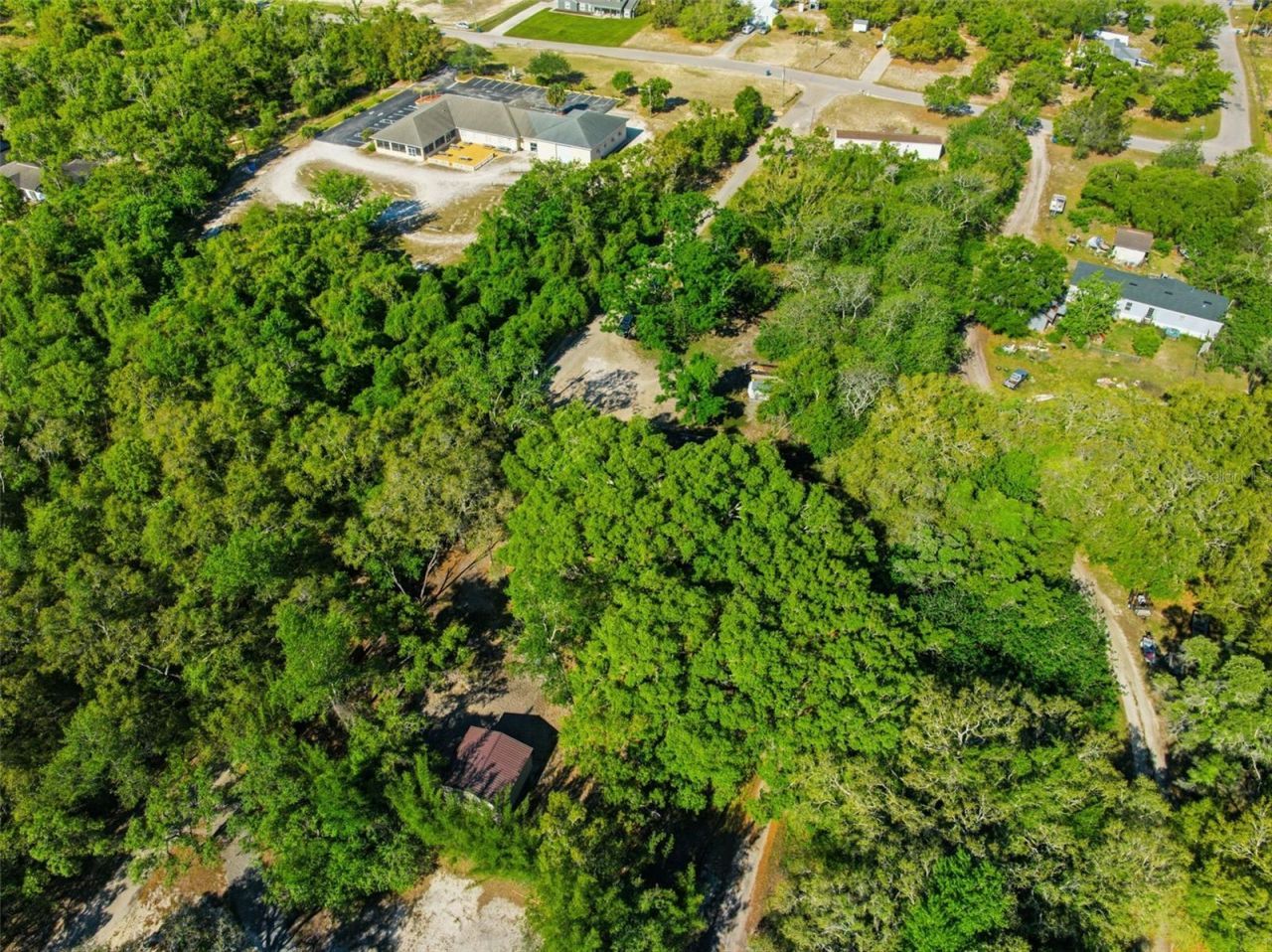 252 Spring Time Street, Spring Hill, FL 34608 Photo