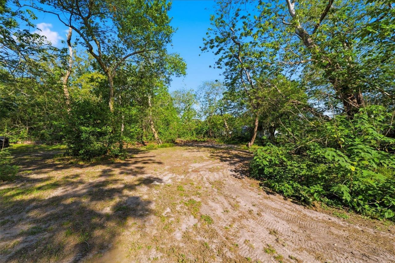 252 Spring Time Street, Spring Hill, FL 34608 Photo