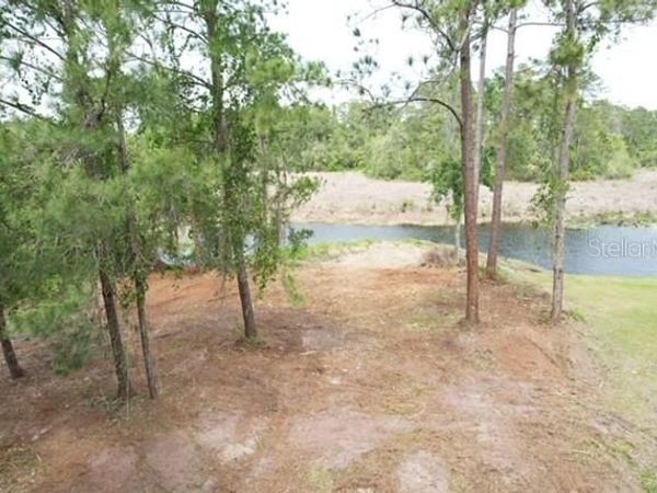 LOCUST RUN DRIVE, OCALA, FL 34472