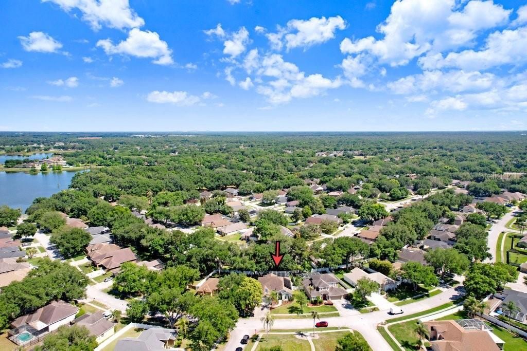 3026 Partridge Point Trail, Valrico, FL 33594 Photo