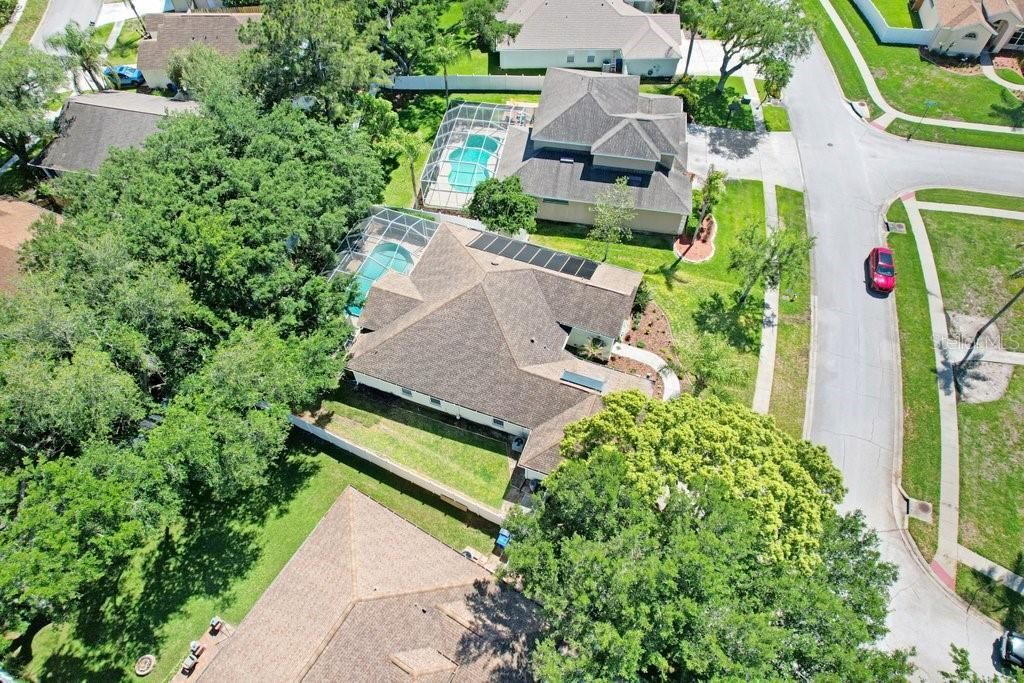 3026 Partridge Point Trail, Valrico, FL 33594 Photo