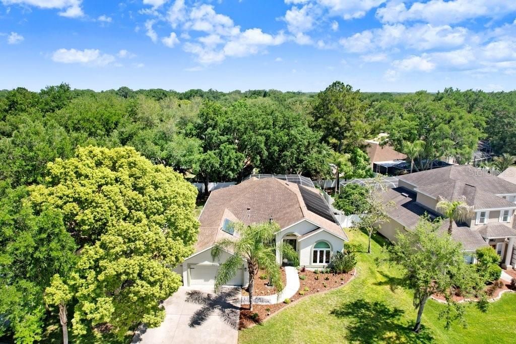 3026 Partridge Point Trail, Valrico, FL 33594 Photo