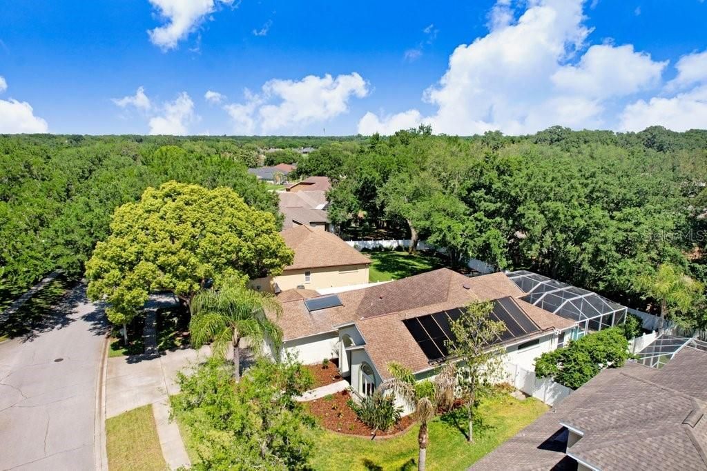 3026 Partridge Point Trail, Valrico, FL 33594 Photo