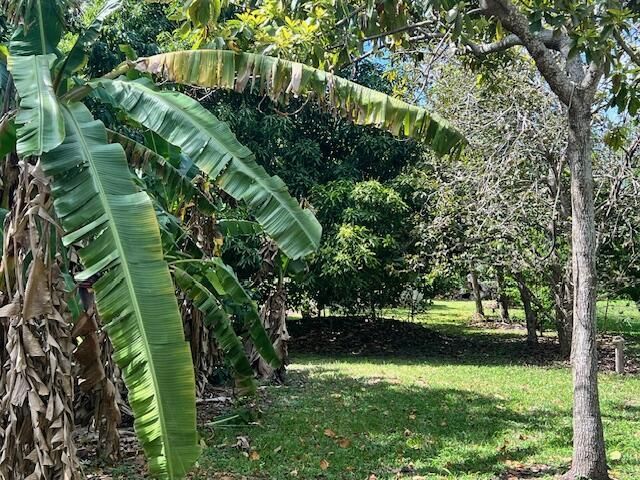 1789 Bacom Point Road, Pahokee, FL 33476 Photo