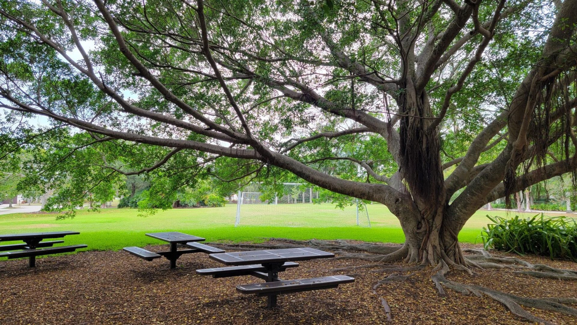 477 Cameron Drive, Weston, FL 33326 Photo