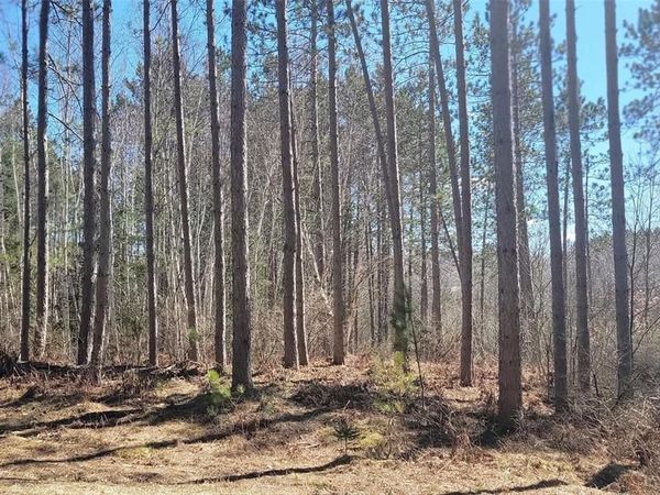 On Hunter Lake Road, Winter, WI 54896