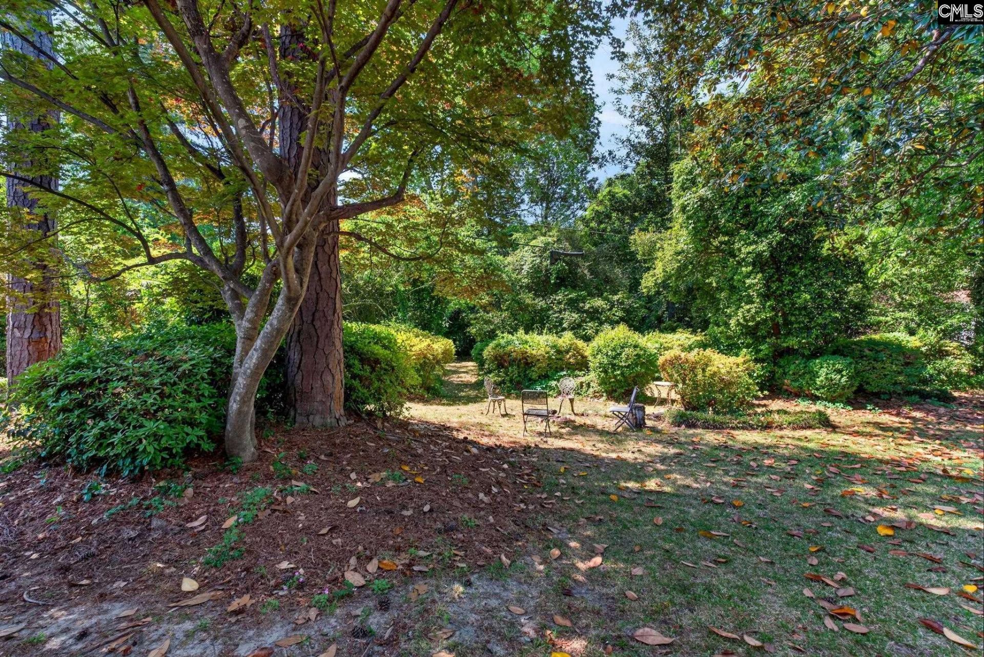 303 Tyler Street Photo 4