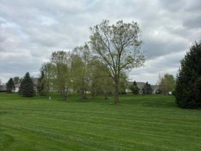 6571 Scioto Chase Boulevard, Powell, OH 43065 Photo 3