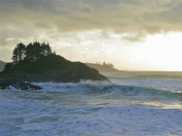 871 Moser Pl, Tofino, BC V0R 2Z0