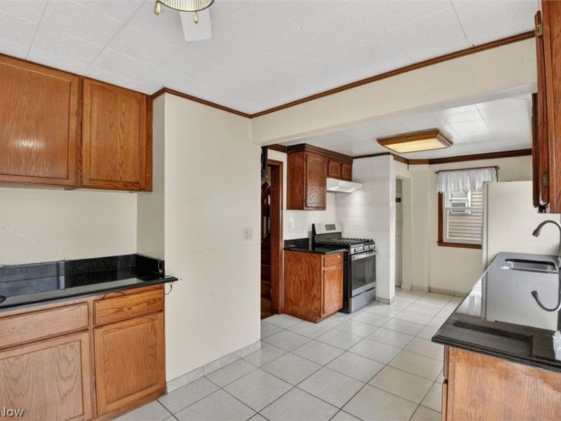 227 Courtland Street, Painesville, OH 44077 Photo 17