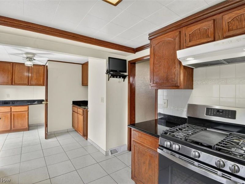 227 Courtland Street, Painesville, OH 44077 Photo 20