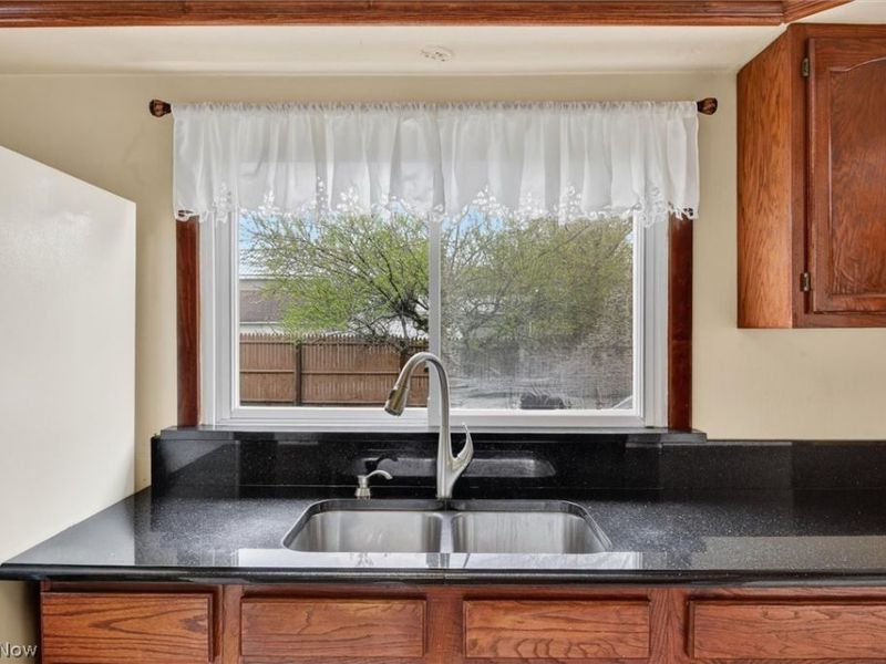 227 Courtland Street, Painesville, OH 44077 Photo 21