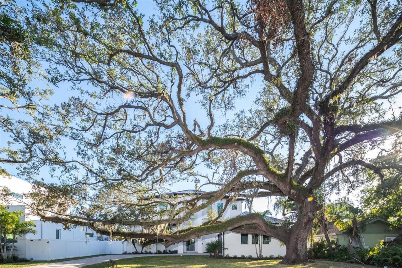 2420 Floyd Street, Sarasota, FL 34239 Photo