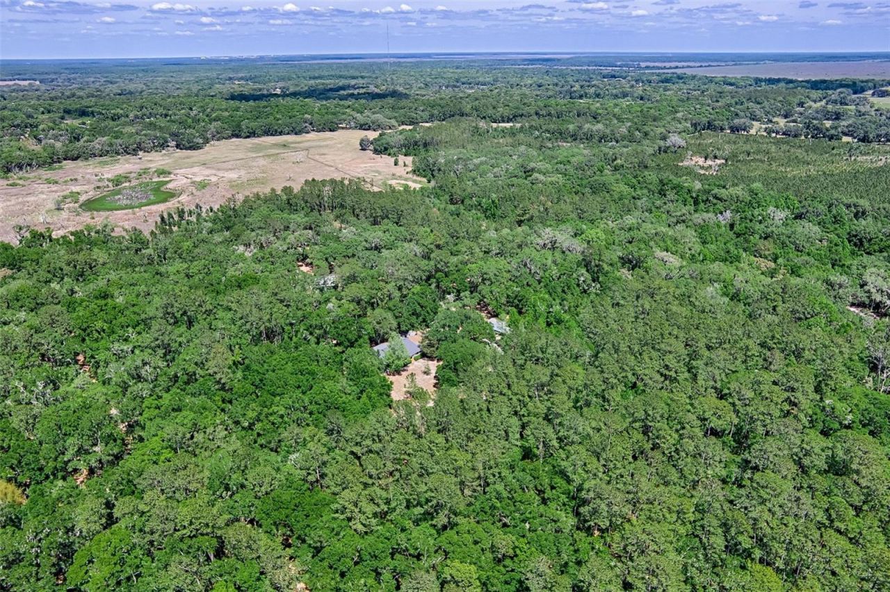 15522 SW 75th Street, Archer, FL 32618 Photo