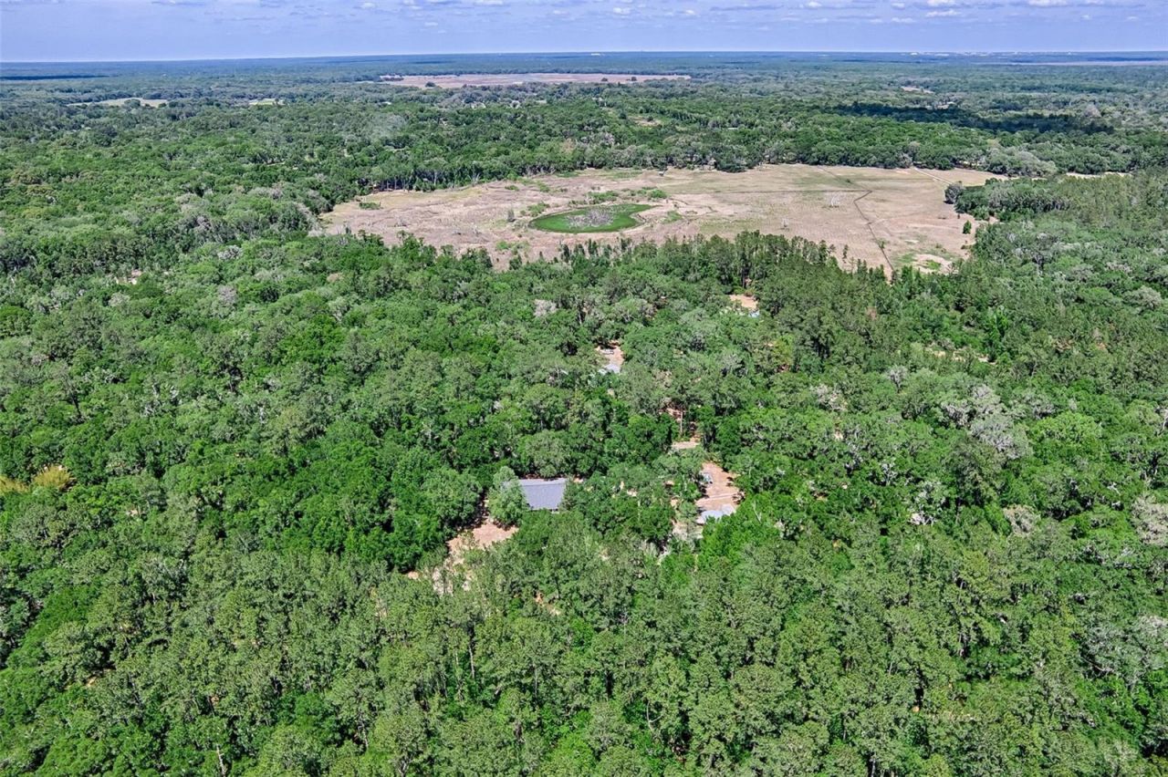 15522 SW 75th Street, Archer, FL 32618 Photo