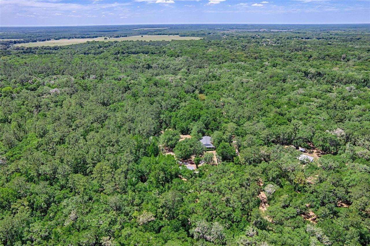 15522 SW 75th Street, Archer, FL 32618 Photo