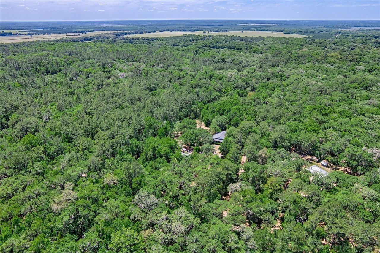 15522 SW 75th Street, Archer, FL 32618 Photo