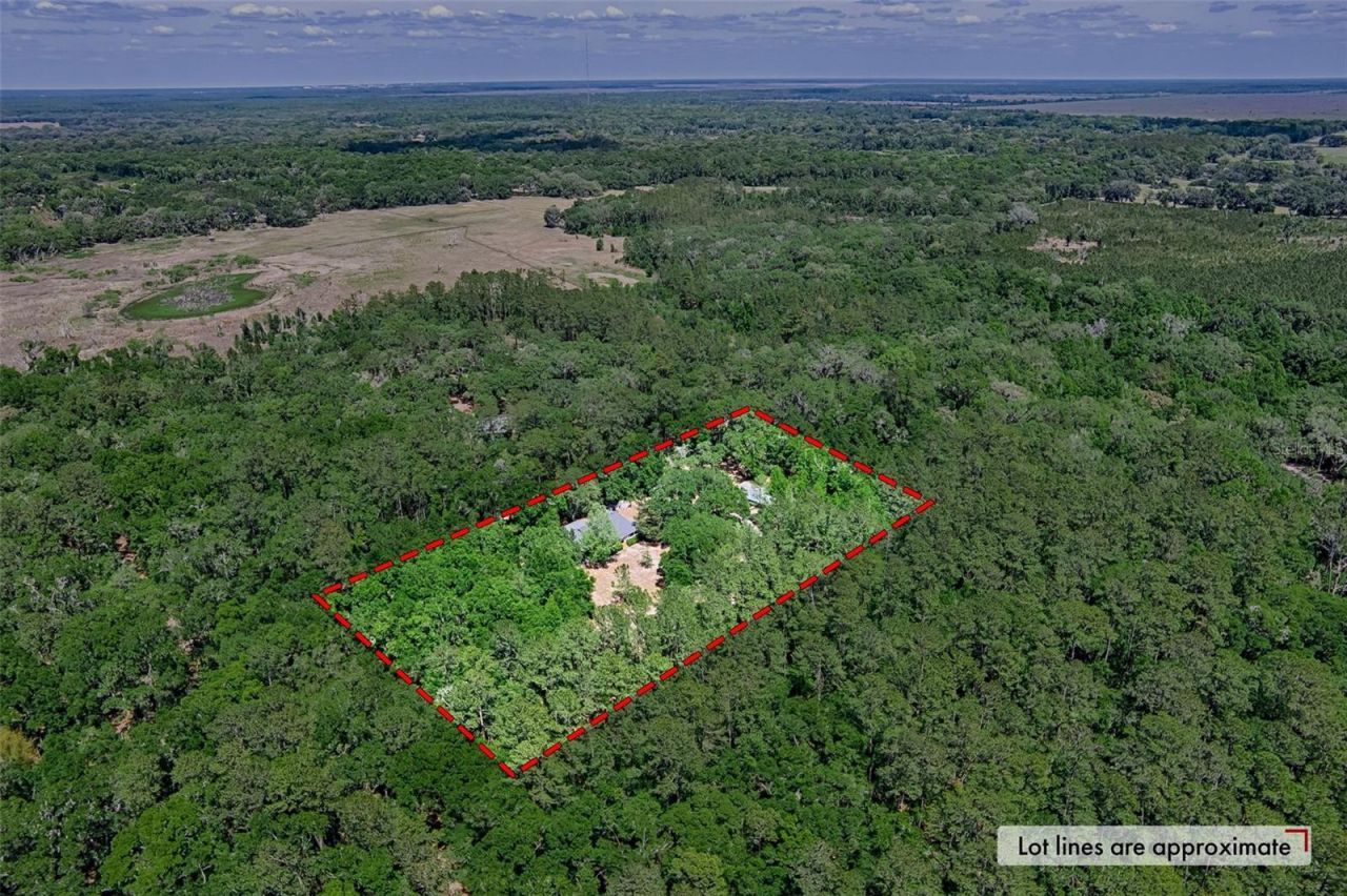 15522 SW 75th Street, Archer, FL 32618 Photo