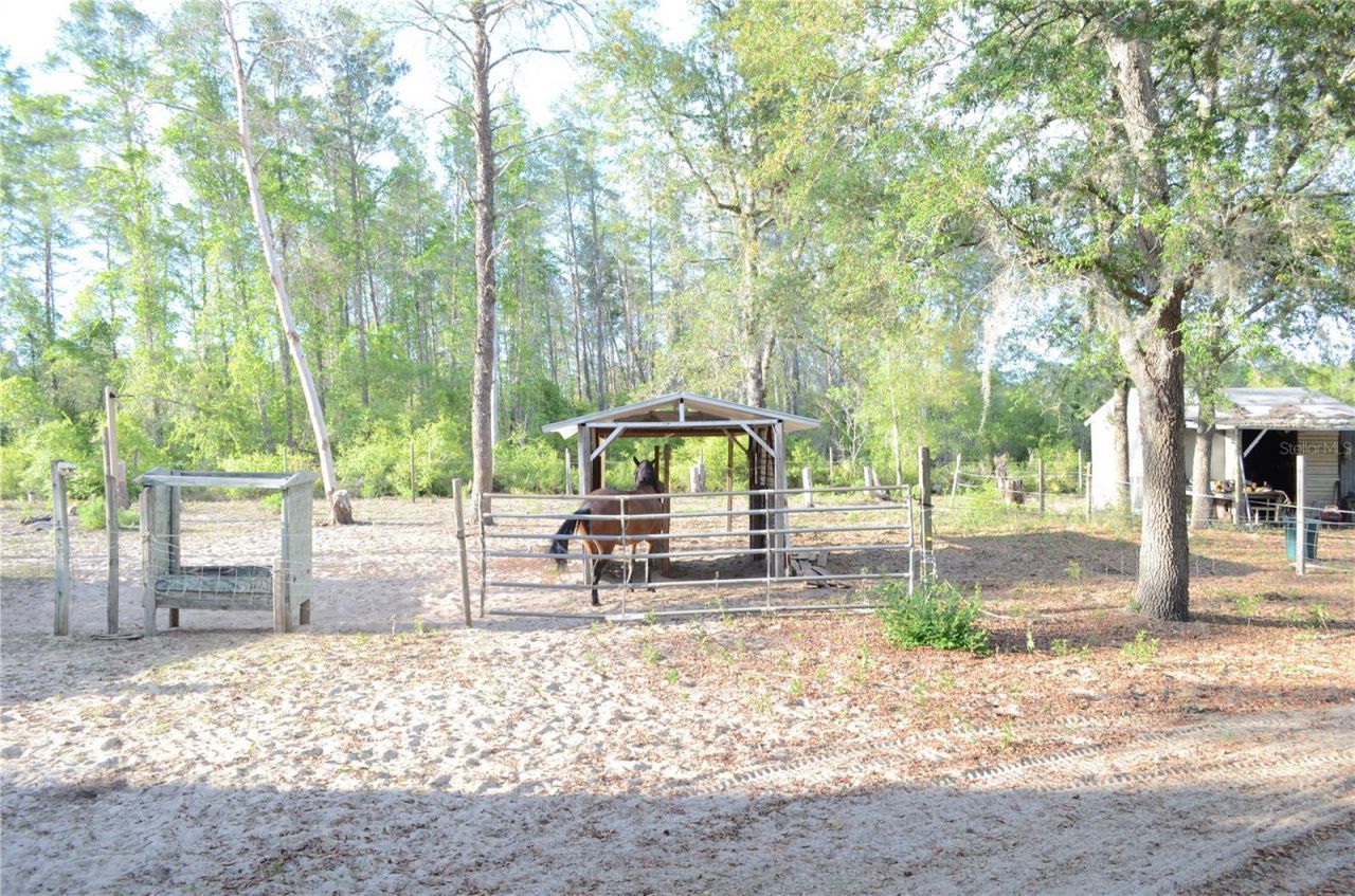 591 SE Fisher Road, Ocklawaha, FL 32179 Photo