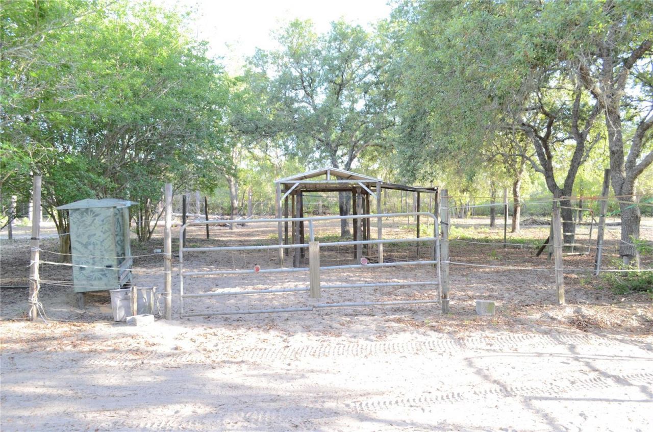 591 SE Fisher Road, Ocklawaha, FL 32179 Photo