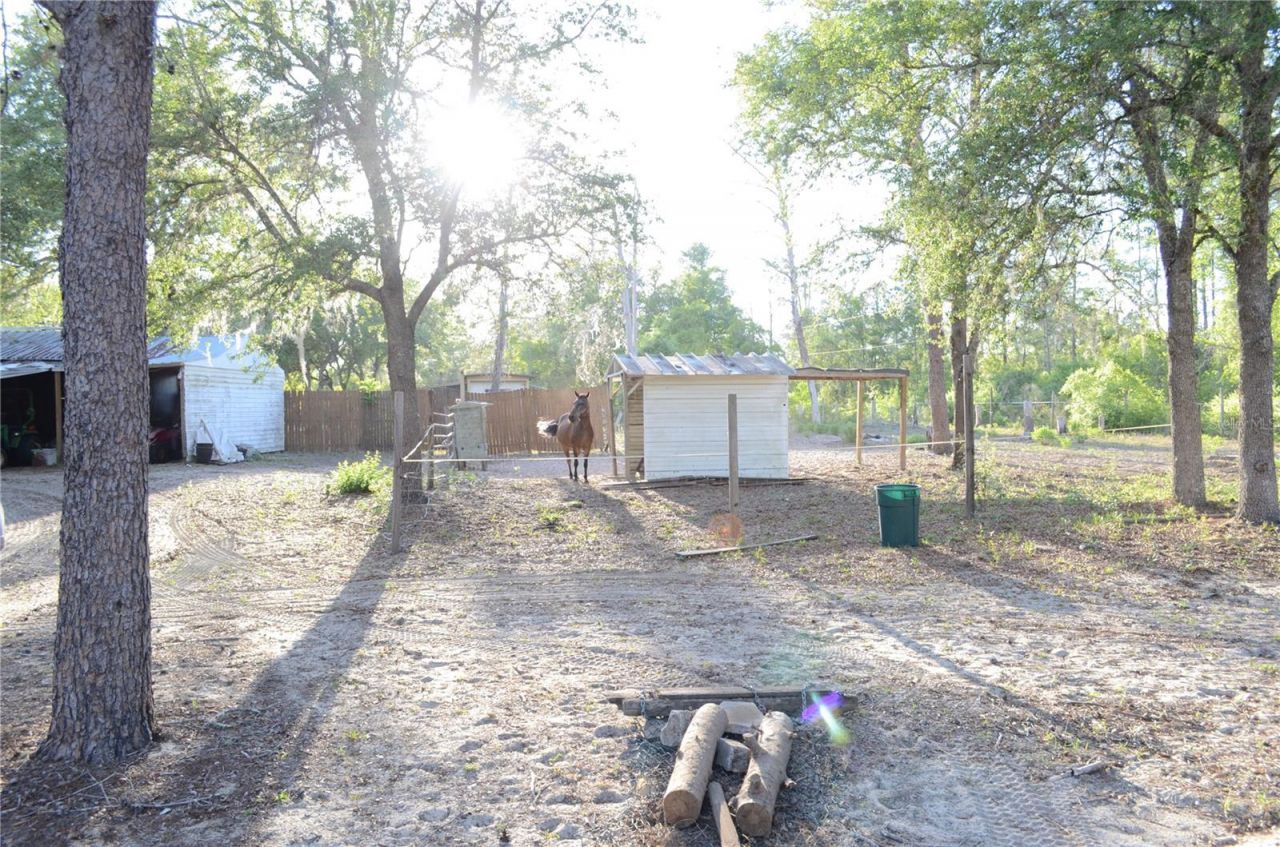 591 SE Fisher Road, Ocklawaha, FL 32179 Photo