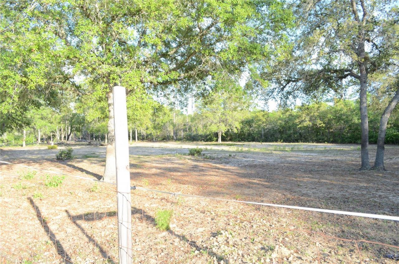 591 SE Fisher Road, Ocklawaha, FL 32179 Photo