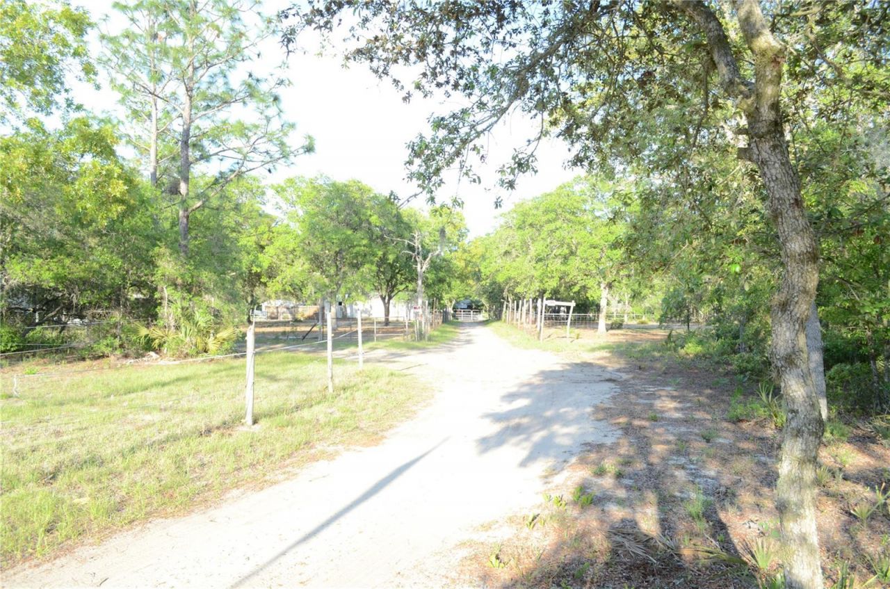 591 SE Fisher Road, Ocklawaha, FL 32179 Photo