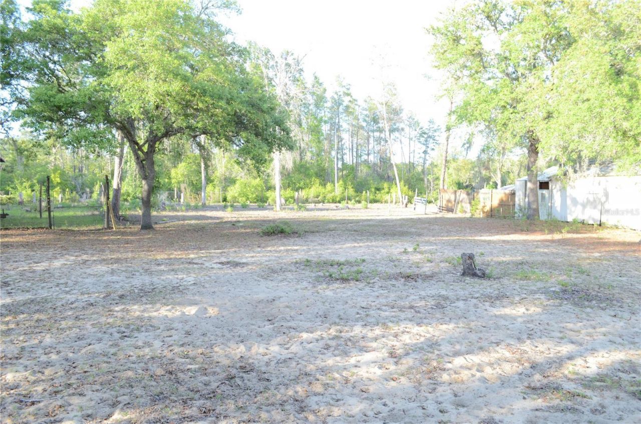 591 SE Fisher Road, Ocklawaha, FL 32179 Photo