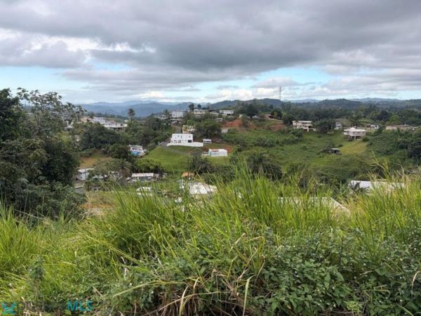 Km 7.6 CARR 152, Barranquitas, PR 00794
