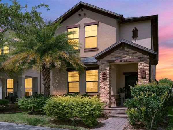28622 TRANQUIL LAKE CIRCLE , WESLEY CHAPEL, FL 33543